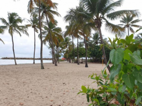 Les Eaux Turquoises Aux Gosier